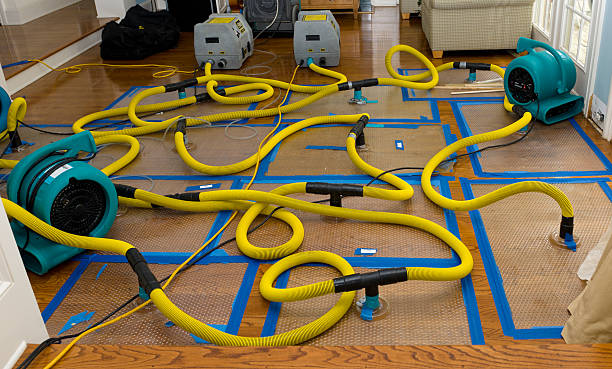 Professional Water Damage Restoration technician working in Greenfield, WI